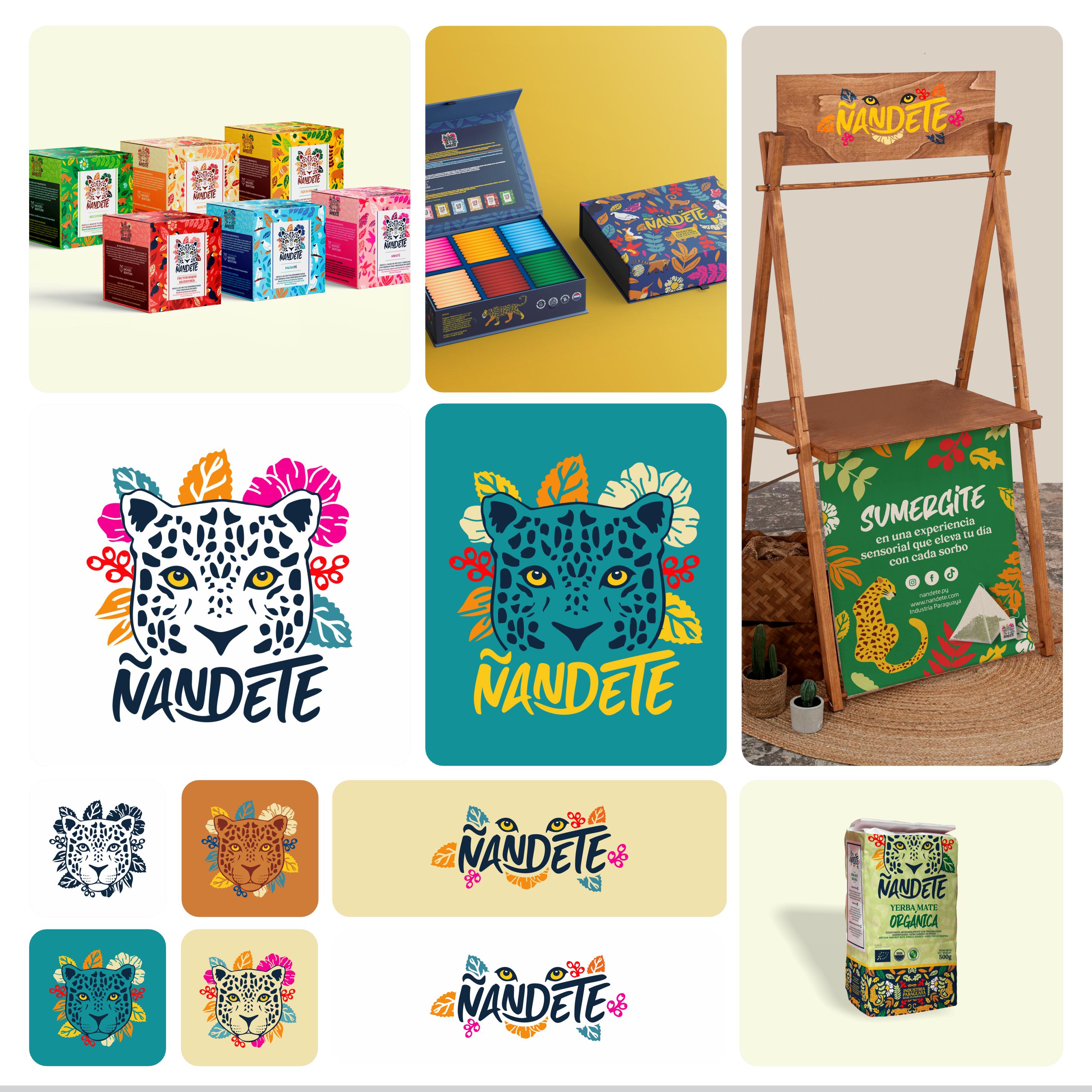 Proyecto ÑANDETE