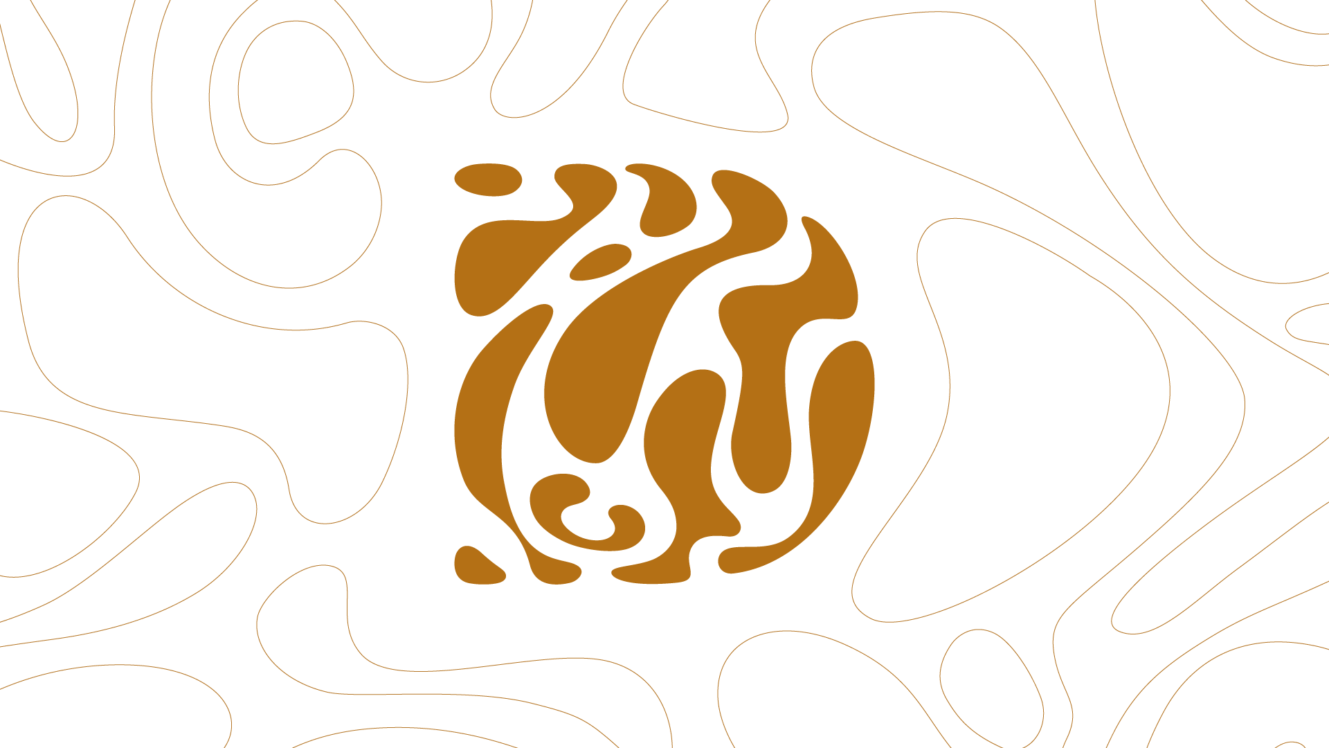 Proyecto Desarrollo de Identidad